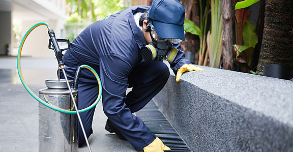Franklin TN Affordable Exterminator